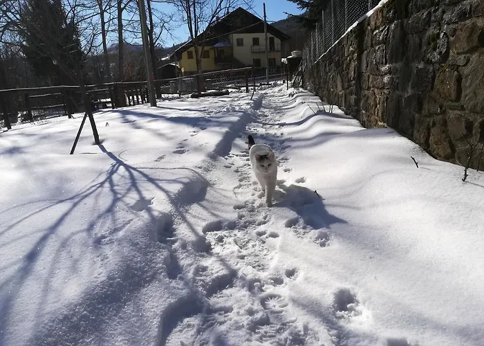 La Violetta Nocleg ze śniadaniem